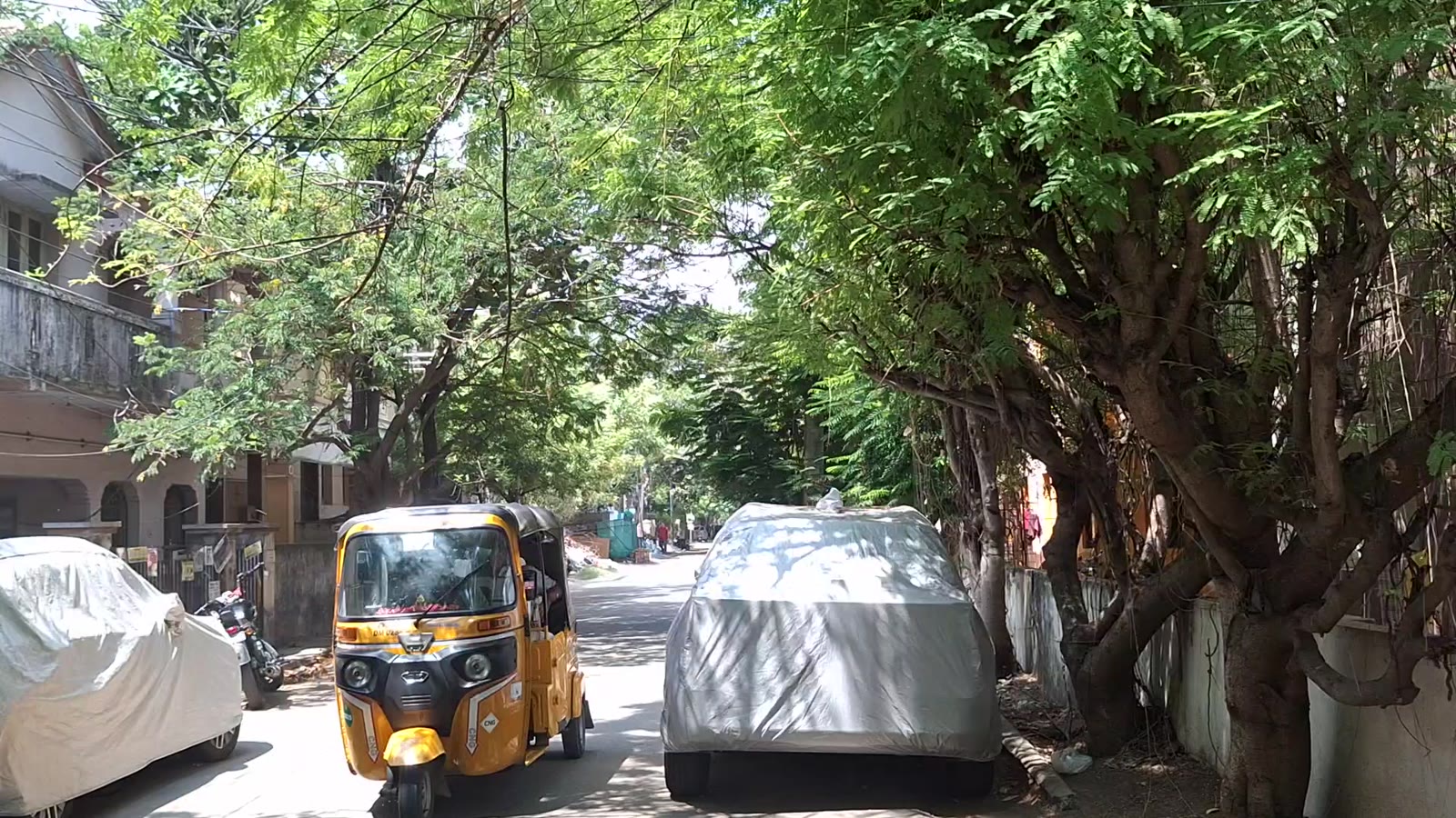 Tree-shaded residential lane in Ram Nagar, Velachery, with parked cars and an auto-rickshaw